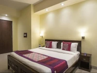 OYO Premium Ahinsa Circle C Scheme