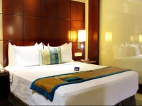 OYO Elite Old Gurgaon