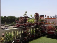 Hotel Mangal Regency