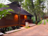 The Tamara Coorg