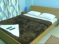 Little Green Apartment