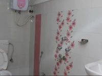 Little Green Sarat Bose Road