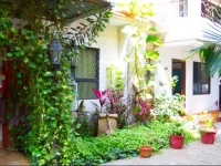 Magpie Apartment - B204