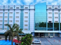 Manasarovar - The Fern