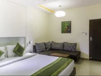 Treebo GN International