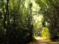 Sahyadrihills Cottages