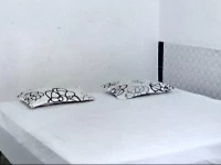 Shree Ram Tourist Home