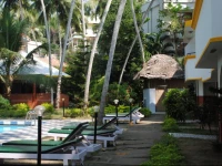 Dr Nishas Vedic Remedies