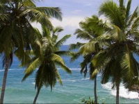 MyStays @Light House Beach, Kovalam