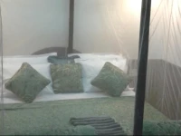 Amrutham Houseboat 1