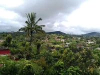 Coorgee Family Homestay