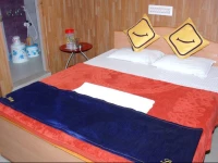 Vista Rooms at Dhanvantri Road