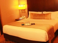 OYO Premium Mysore Vinobha Road