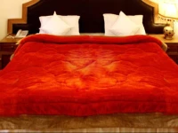 OYO Premium McLeod Ganj