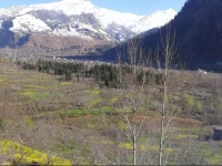 Gautam Shala Cottage