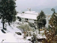 Mussoorie - Dancing Leaves A Sterling Resort