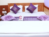 Cottage Ganga Inn 3*