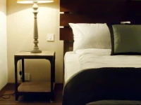 Secludecity - Safdarjung Enclave 3*