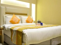 OYO Premium New Delhi Railway Station