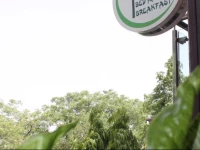 Saket Bed and Breakfast