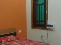 TIMES @ Bed and Breakfast