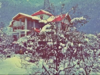 Countryside Cottage Resort