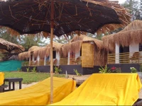 Bougainvillea Patnem