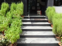 Hotel Pushpa - Berries Group of Hotels