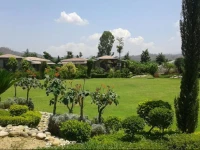 Parfait The Roar Resort