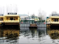 Swan Group of Houseboats, Golden Dal Lake