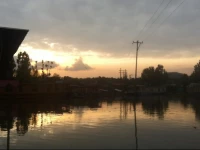 Houseboat Royal Lodge