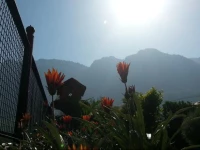 Honey Dew Guest House 2*