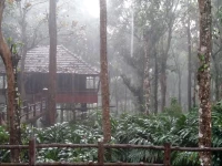 Kalppavanam Heritage Resort