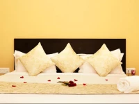 The Park Classic Udaipur