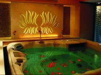 Jagmandir Island Palace - Grand Heritage