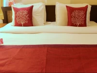 OYO Rooms 100ft Road Udaipur