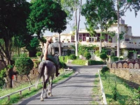 Shikarbadi Hotel - Heritage