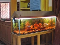 Shivakashi Guest House