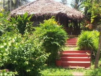 Palm Tree Natural Bungalow