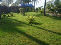 Varkala Bamboo Village Annex