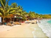 Golden Dragon Bungalow