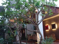 Frangipani Fine Arts Hotel