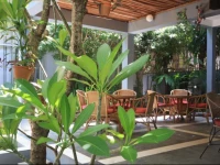 Frangipani Villa-60s