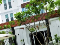 The Frangipani Villa Hotel II