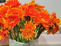 K-Eco House | Siem Reap