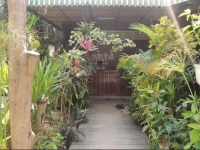 Lovely Family Guesthouse