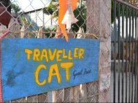 Traveller Cat Guesthouse