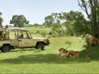 Fairmont Mara Safari Club