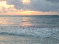 Shalom Cottages Diani