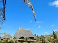 IL Palmentino Villas